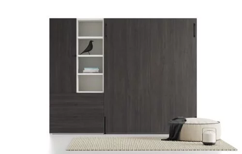 Composition with a vertical wall-bed in colour Noir